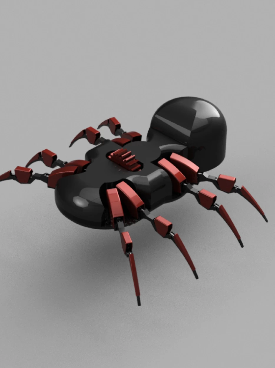 Spider