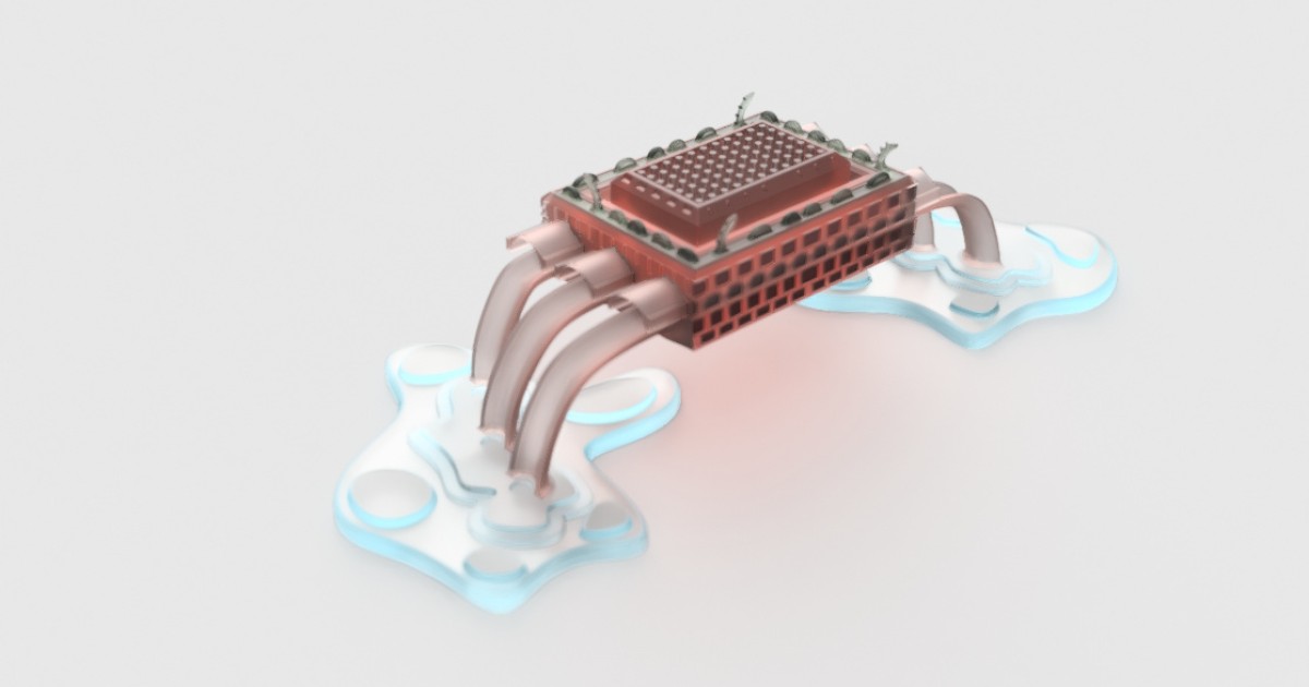 Ancients Soap dish concept Autodesk Community Gallery