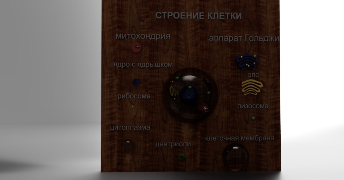 учебный стенд с 3D - моделью клетки | Autodesk Community Gallery