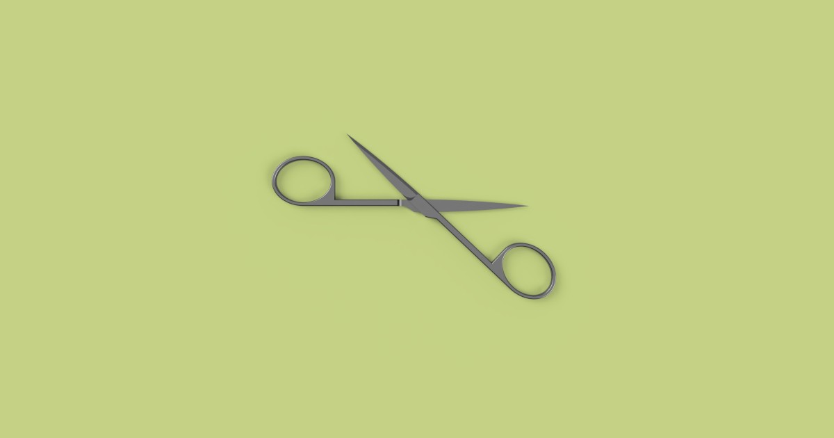Scissors Project Project Scissors | Autodesk Community Gallery